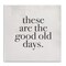 Stupell Industries Good Old Days Family Design Wall Plaque Art